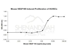 200-34-500UG MOUSE VEGF-165