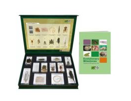 KIT EVOLUTIONARY MILESTONES