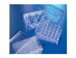 ATTCHMNT CLUSTR6WL LOW CS24