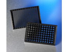 PLATE WL 384 BK AREA/GL BTM LID ST CS10