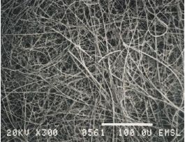 FILTER EMFAB 47MM DM F/DIESEL EXHPK100