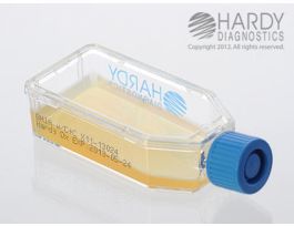 BHI AGAR W/CHLR&CYC PLASTIC FLASK