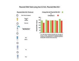PLASMID MINIPREP KIT LL Q SPIN