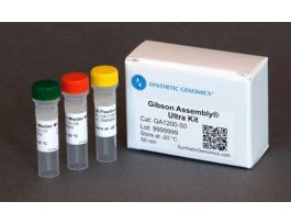 KIT GIBSON ASSEMBLY ULTRA STARTER