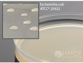 LETHEEN AGAR MODIFIED WITH TWEEN PK10