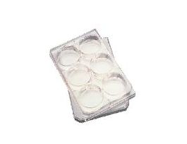 PLATE 96-WELL PS ST W/LID CS50