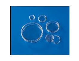 STYLE SUSPENSION DISH CS60