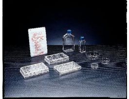 PLATE 24WELL STRL TREATED CS50.