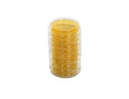 PLATE ST ISL TSA LP80 PN CS100.