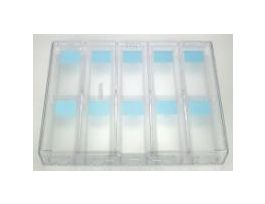 SLIDE MOISTURE CHAMBER 10 SLIDES CLEAR