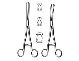 MUSEUX VULSELLUM FCP CVD 6MM