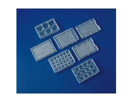 24WELL PLATE CLUSTER,TC CS50