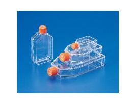 FLASK CANTED TC PS 25CM2 CS200