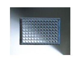 CLUSTERTC L.E.96WELL CS50