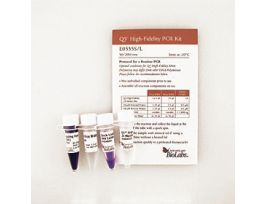 Q5 HIGH-FIDELITY PCR KT