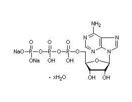 5'-ADENOSINETRIPHSPHRC ACID 1G