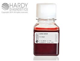 BLOOD HORSE SERA 125ML