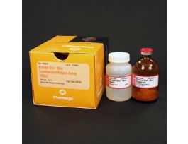 KINASE ASSAY LUMIN KINASE-GLO MAX 100 ML