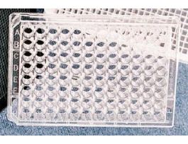 PLATE 96WL PS NO BOTTOM CS40