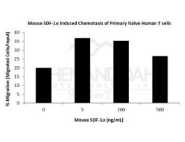 200-46-500UG MOUSE SDF-1 ALPHA / CXCL12