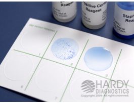 LATEX AGGLUTINATION CARDS 48PACK