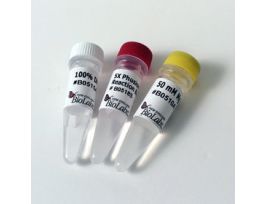 PHUSION HF BUFFER PACK 6.0 ML.