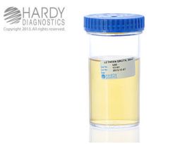 LETHEEN BROTH, 99ML PK12