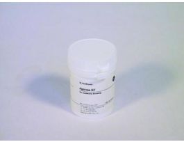 AGAROSE ISOELECTRIC FOCUSSING 10G