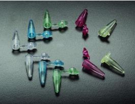 TUBE PCR THN WALL BLU.2ML1000C