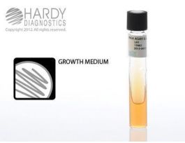 UREA AGAR SLANT PK20