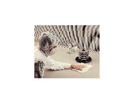 WIPER ALPHAWIPE POLY24X44 PK25. PK