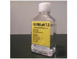 IN1X PBS PH 7.2, 10LIN