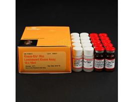 KINASE ASSAY LUMIN KINASE-GLOMAX 10+?10ML