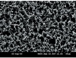 OE66 0.2UM 110MM PK50