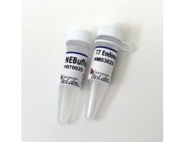 T7 ENDONUCLEASE I-250 U