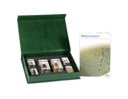 EMBEDMENT INSECT VS ARTHROPOD