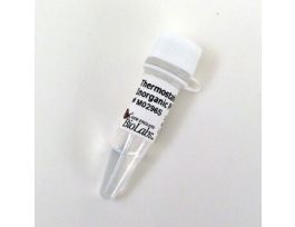 THERMOSTABLE INORGANIC PYROPHO