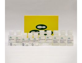 KIT CHIP ZYMO-SPIN 25PREPS CO-FACTORSDNA