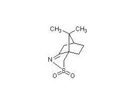 (+)-10-CAMPHORSLFNIMINE 5GM