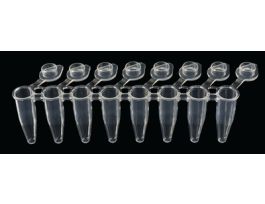 0.2ML 8-STRIP PCR TUBES & IND.. CS