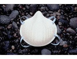 RESPIRATOR PARTICULTE N95 PK20 PK