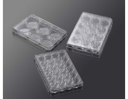 VWR CULTUREPLATE 3D TREATED ST 6WL GPPS