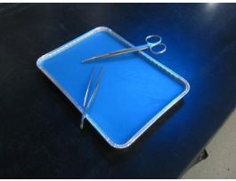 BLUE WAX DISSECTION TRAY