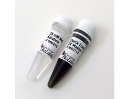 TAQ 2X MASTER MIX, 500 RXNS