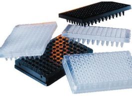 PCR PLATE 96WL 240UL CLR CS50