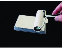 4 Soft Rubber Roller