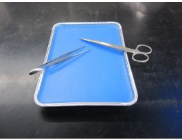 TRAY DSCTN WAX THERMAL DRAPE BL 9X6.5IN