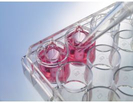 INSERT 12W PLT PET 1UM CS48