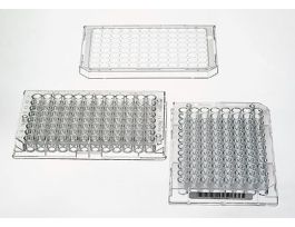 Immunoplates 96-Wellplate, Non-Trt Flat 0.4 mL well vol; 60/Cs