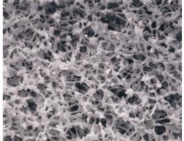 MIXED CELLU ESTER 0.45UM 47MM